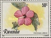 Pavonia urens