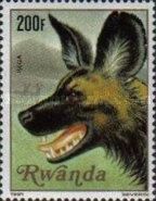 African Hunting Dog (Lycaon pictus)