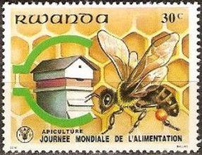 Honey Bee (Apis sp.)
