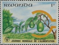 Avocados
