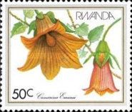 Canarina eminnii