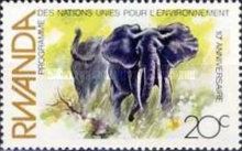 African Elephant (Loxodonta africana)