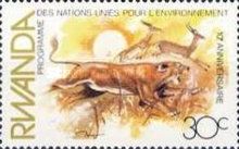 Lion (Panthera leo), Impala (Aepyceros melampus)