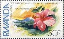Chinese Hibiscus (Hibiscus rosa-sinensis)