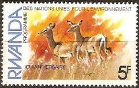 Impala (Aepyceros melampus)