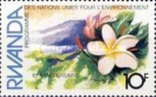 White Frangipani (Plumeria alba)