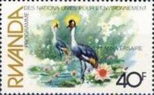 Black crowned crane (Balearica pavonina)