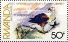African Fish-Eagle (Haliaeetus vocifer)