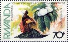 Woman Pouring Coffee Beans