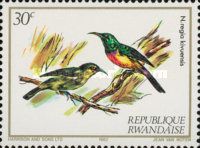 Regal Sunbird (Cinnyris regius)