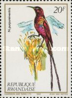 Purple-breasted Sunbird (Nectarinia purpureiventris)
