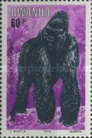 Mountain Gorilla (Gorilla beringei beringei)