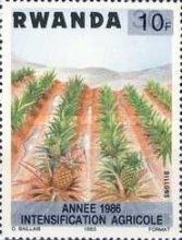 Pineapple Plantation - overprint and surcharge