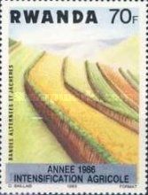 Fallow, planted strips - overprint