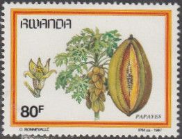 Papaya