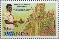 Removing parasites and weeds