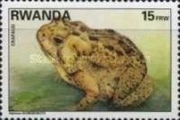 Toad (Sclerophrys regularis)