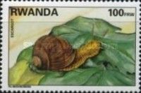 Snail