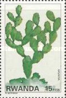 Opuntia.