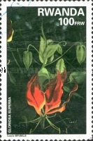 Gloriosa superba