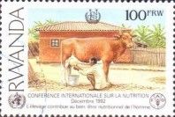 Cattle (Bos primigenius taurus)