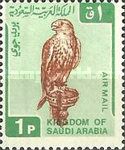Saker Falcon (Falco cherrug)