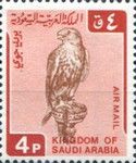 Saker Falcon (Falco cherrug)