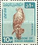 Saker Falcon (Falco cherrug)