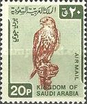 Saker Falcon (Falco cherrug)