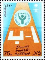 International Literacy Year