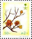 Rhanterium epapposu