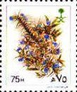 Blepharis ciliata