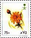 Senecio desfontainei