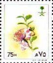 Capparis cartilagenia