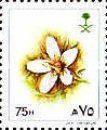 Peganum harmala