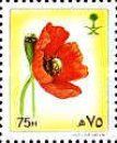 Papaver dubium