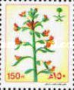 Cleome arabica