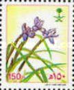 Iris sisyrinchium