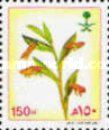 Oenostachys abyssinica