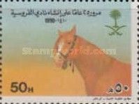 Horsemanship Club