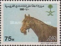 Horsemanship Club