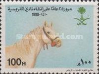 Horsemanship Club