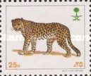 Leopard.