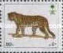 Leopard (Panthera pardus)