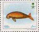 Dugong.