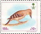 Arabian woodpecker (Dendrocoptes dorae)