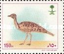 Little Bustard (Tetrax tetrax)