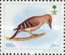 Arabian Woodpecker (Picoides dorae)