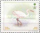 Western Reef-egret (Egretta gularis)