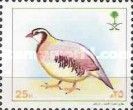 Arabian Partridge (Alectoris melanocephala)